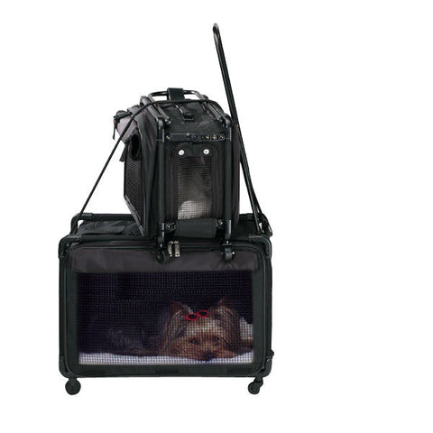 Tutto Medium Pet On Wheels